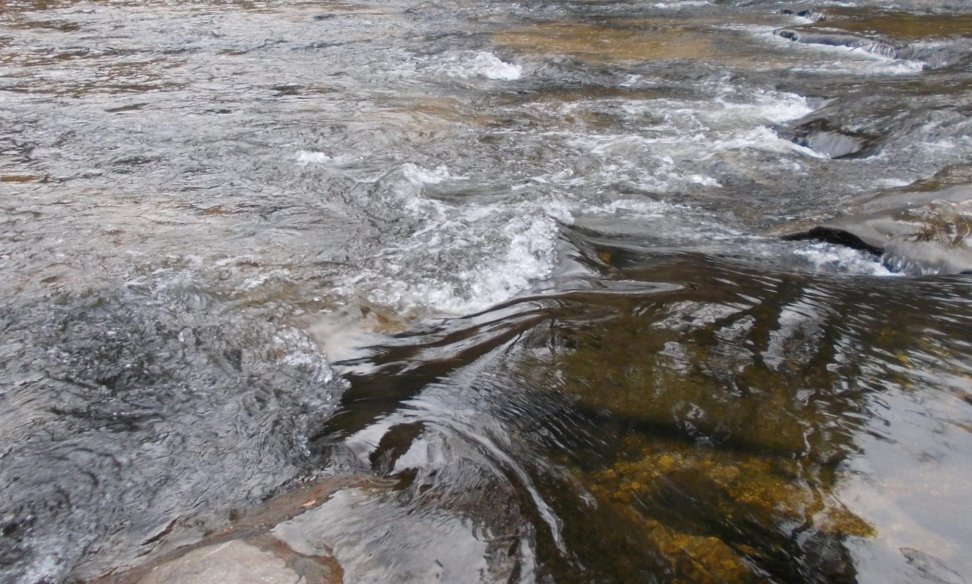 Fischereiverein Schwertberg