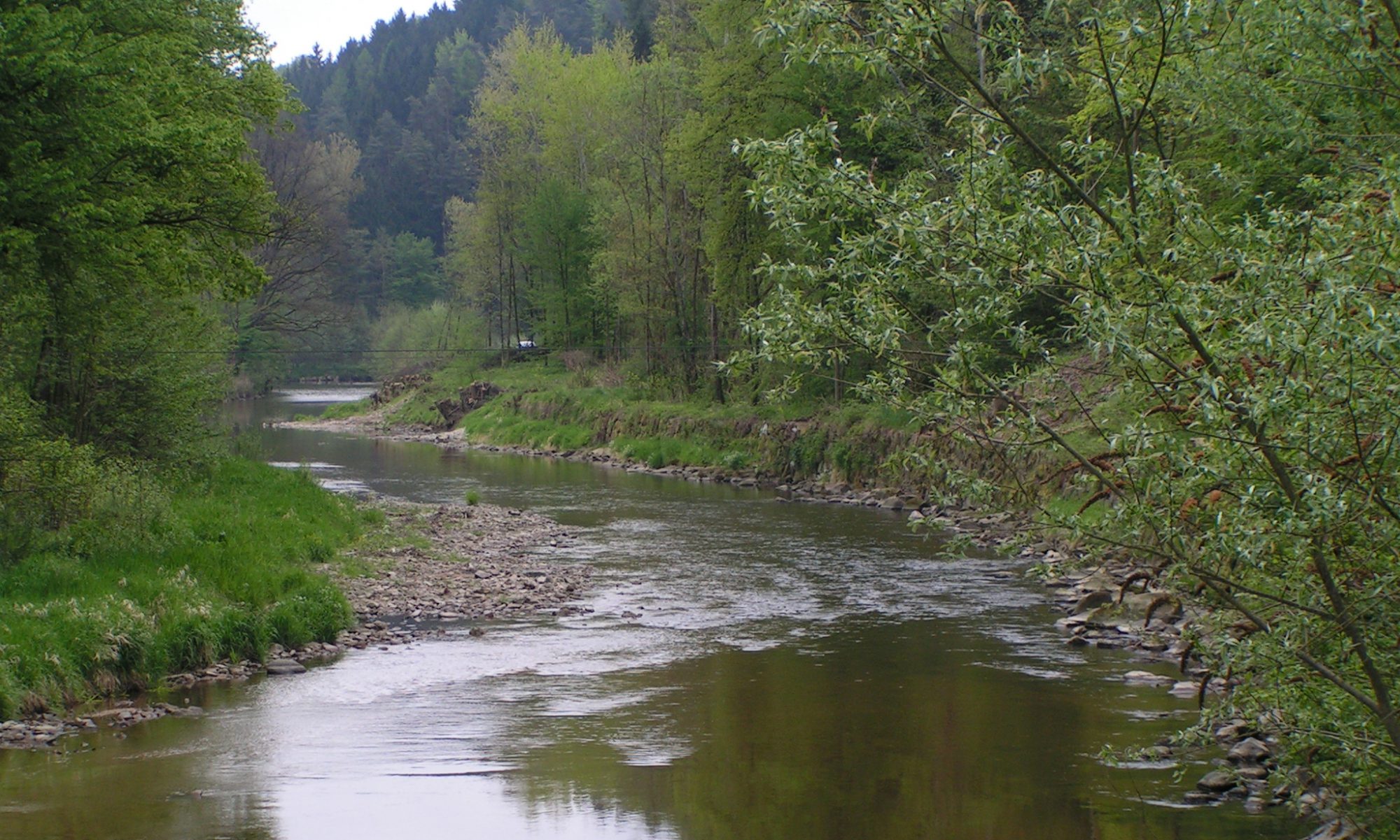 Fischereiverein Schwertberg