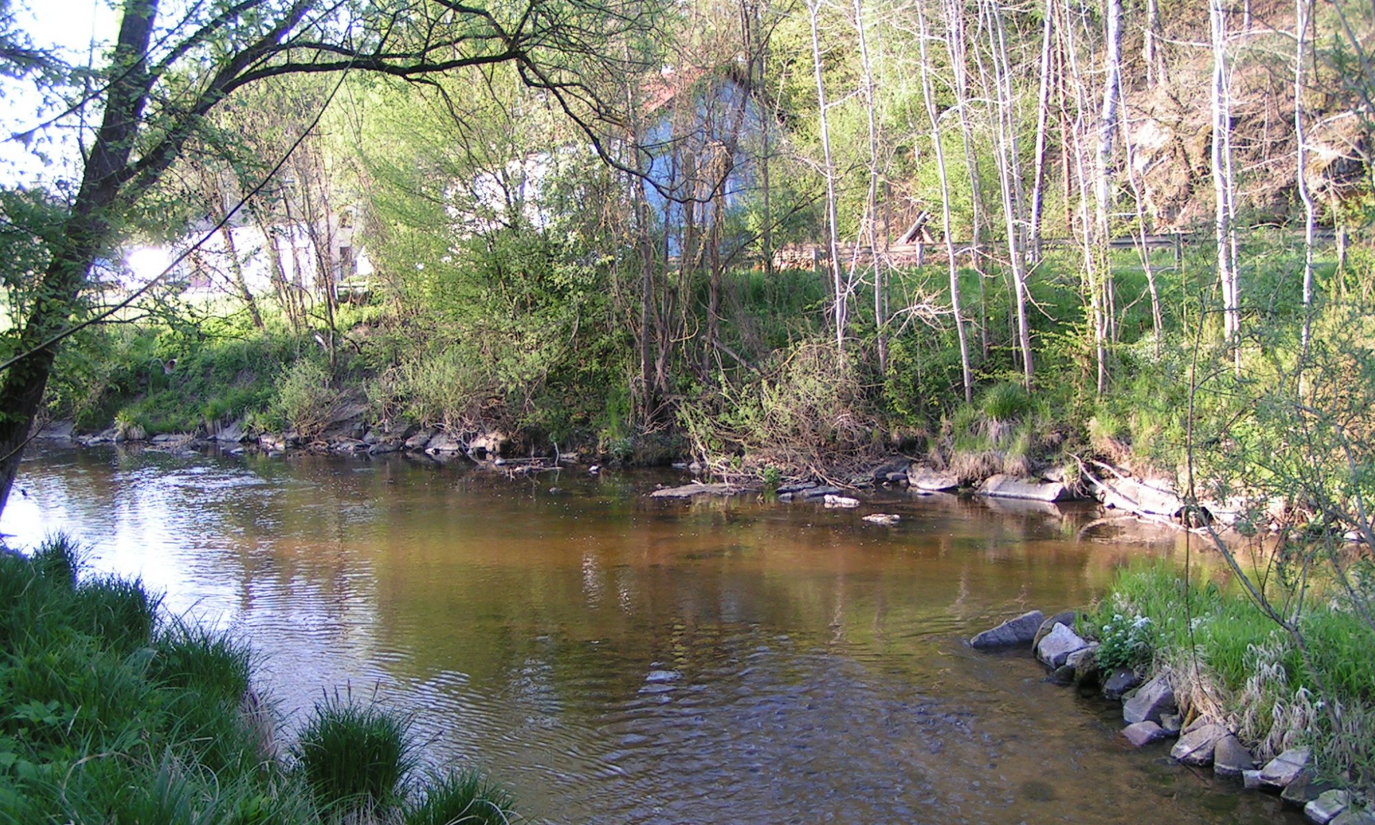 Fischereiverein Schwertberg