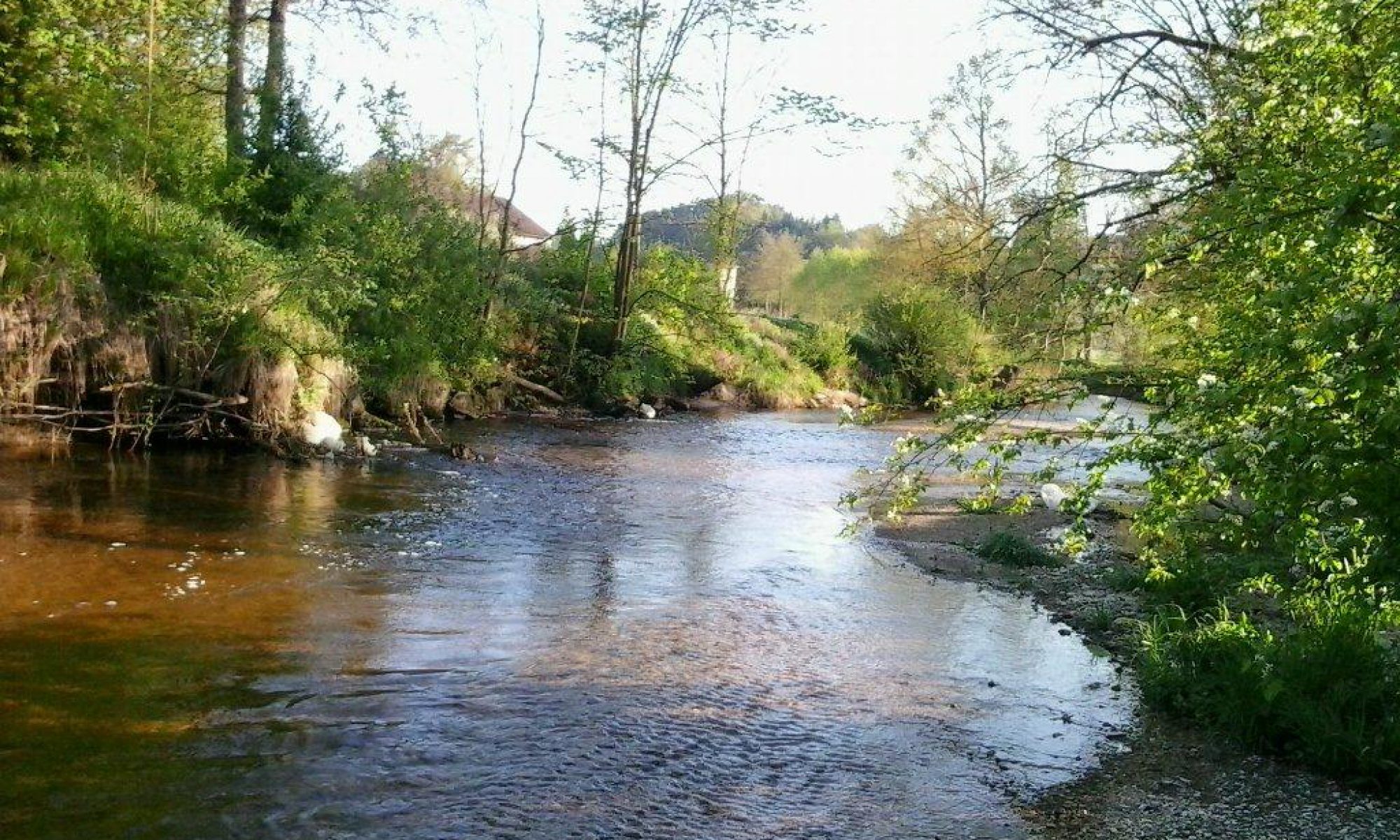 Fischereiverein Schwertberg