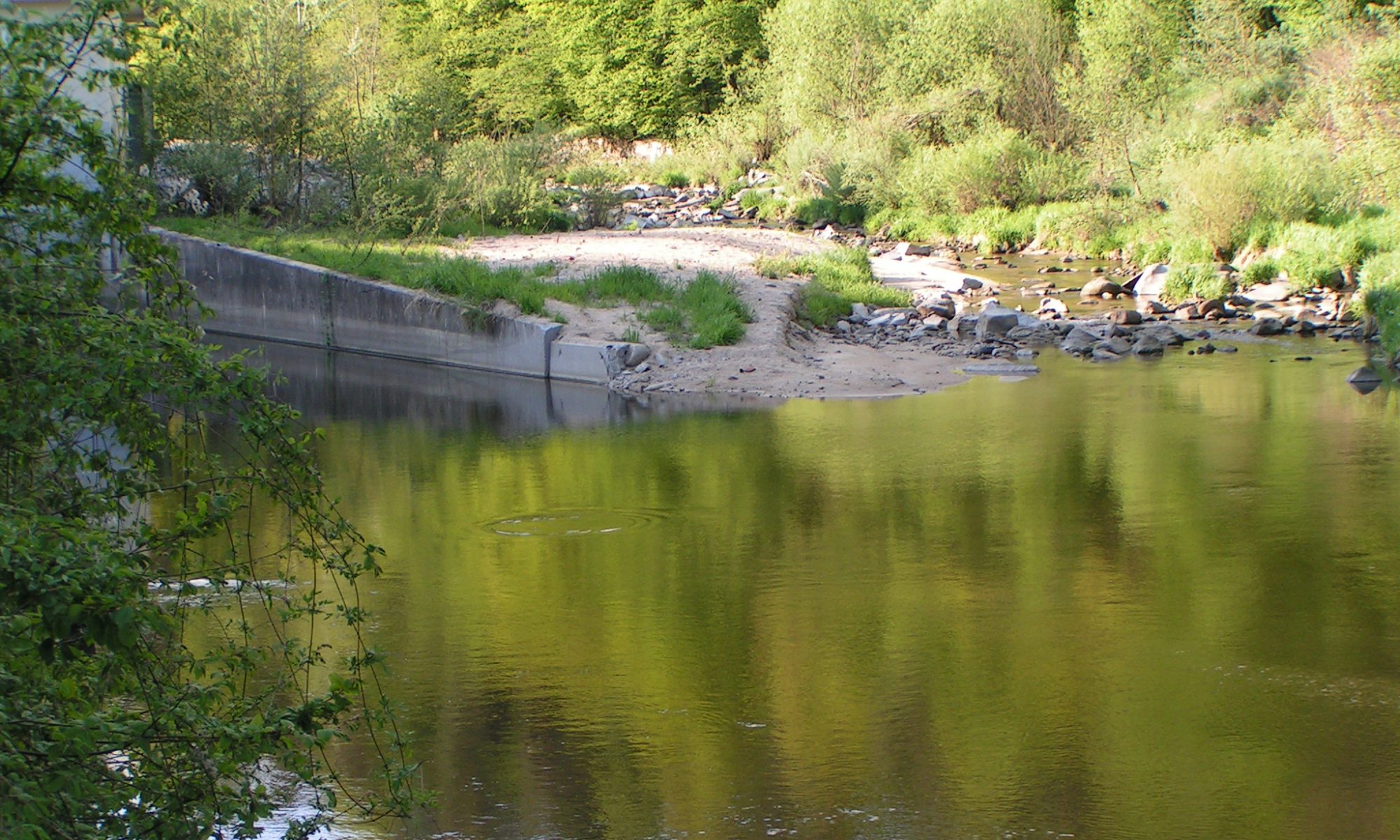 Fischereiverein Schwertberg