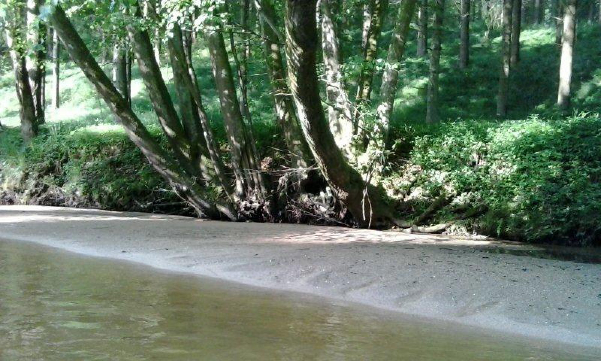 Fischereiverein Schwertberg