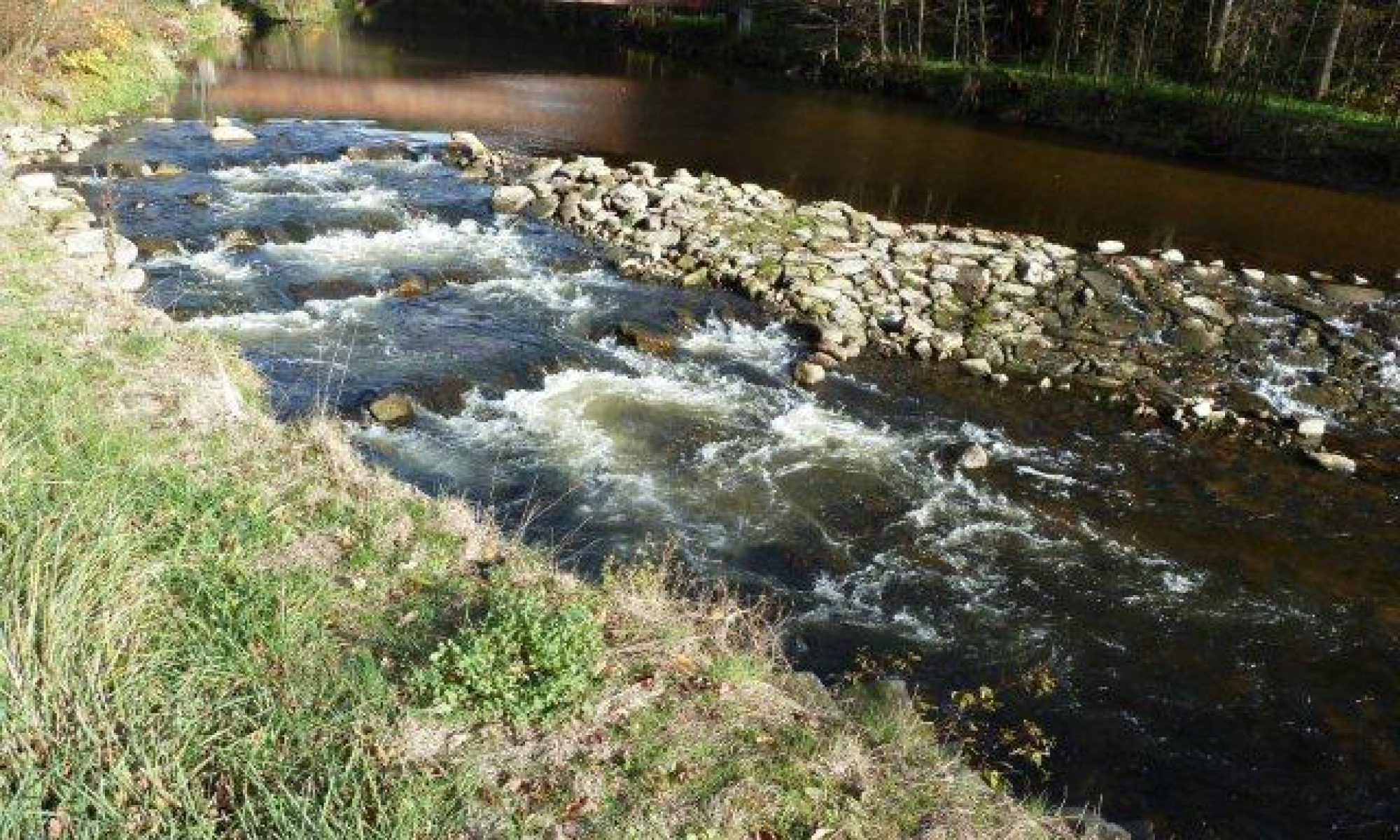 Fischereiverein Schwertberg