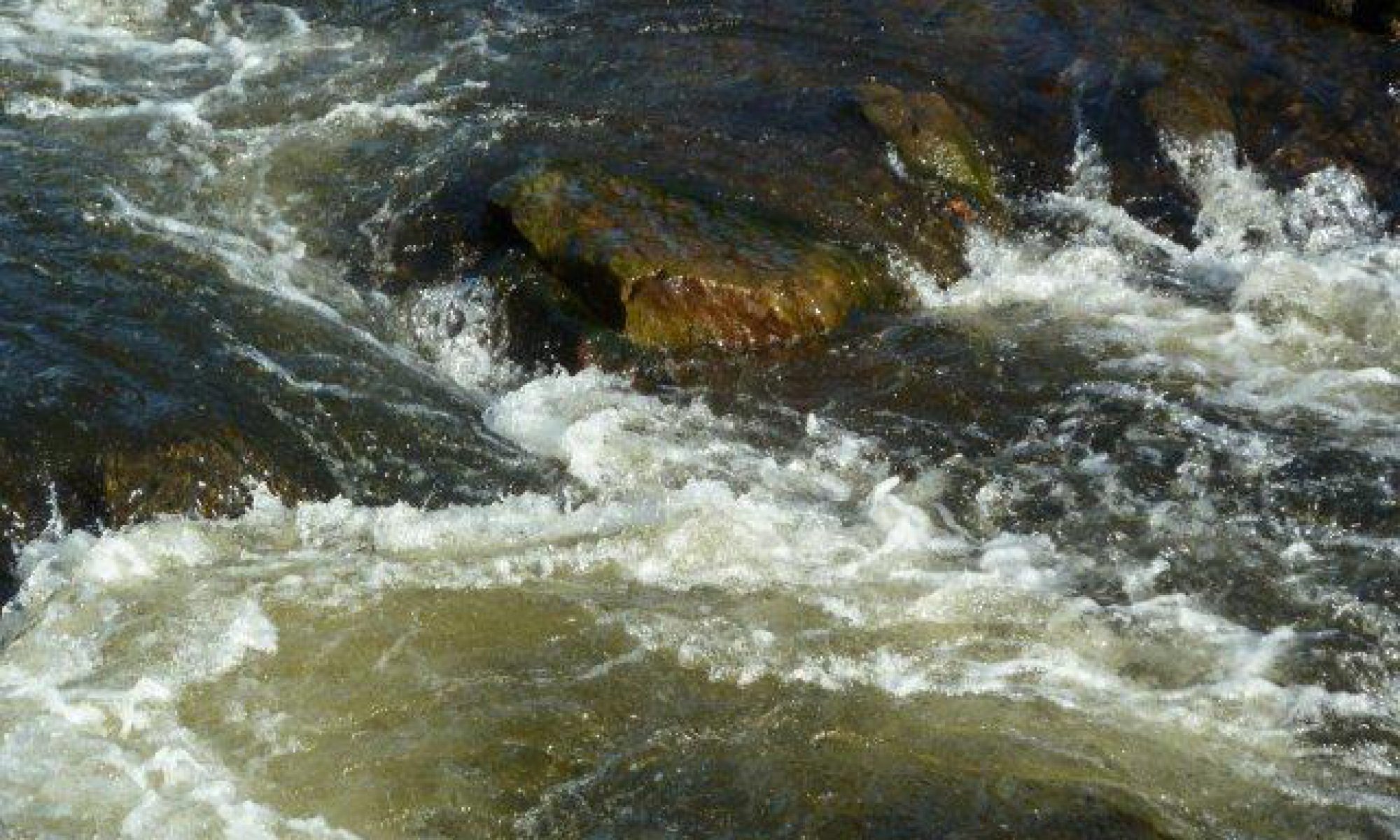 Fischereiverein Schwertberg