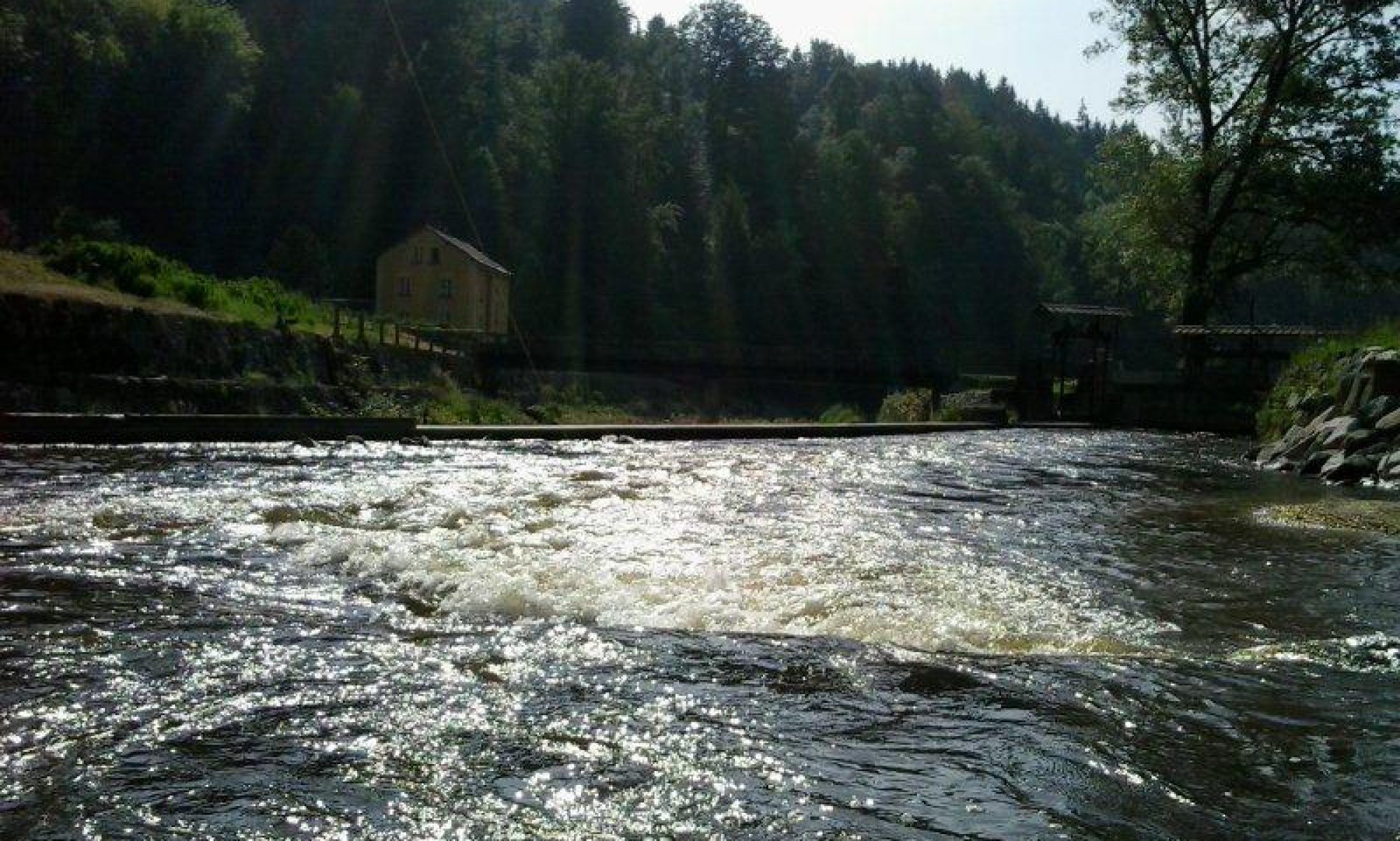 Fischereiverein Schwertberg