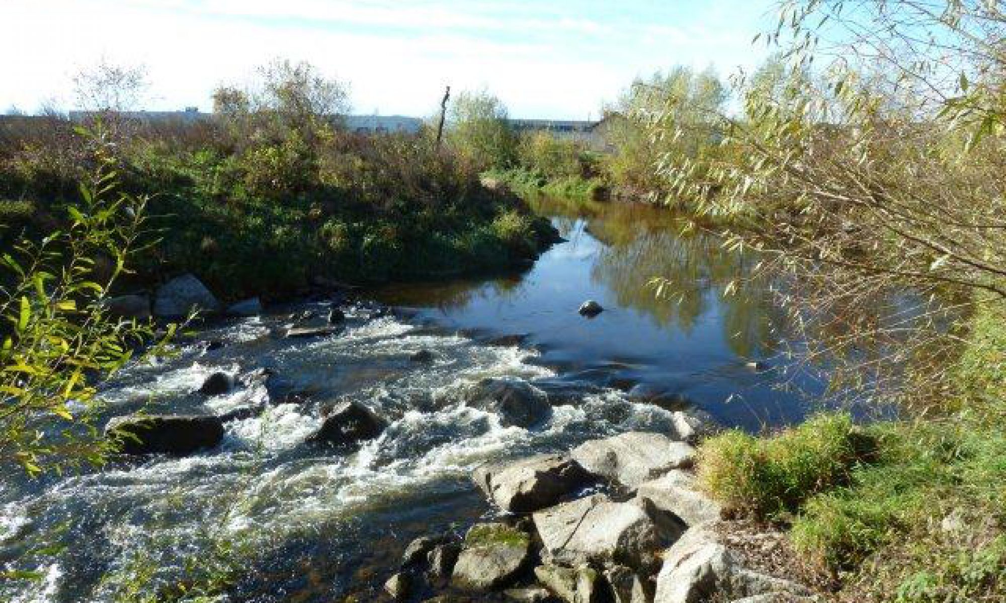 Fischereiverein Schwertberg