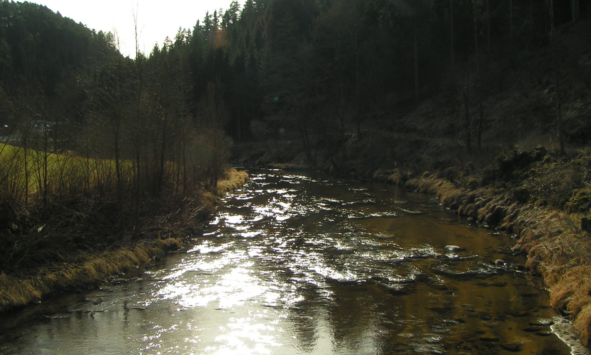 Fischereiverein Schwertberg