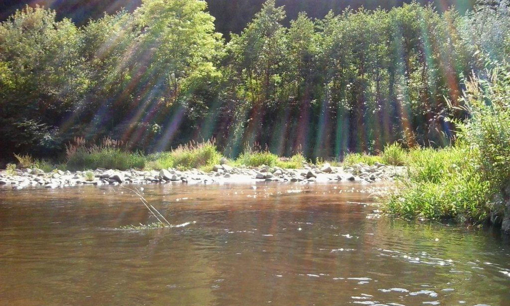 Fischereiverein Schwertberg